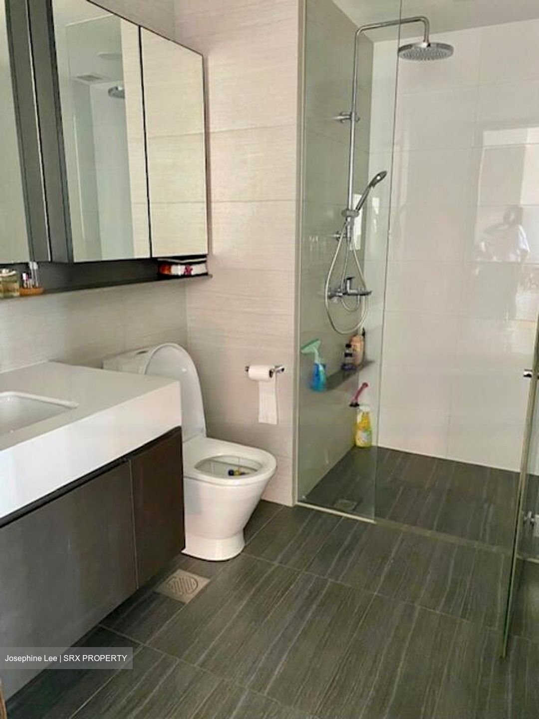 Botanique At Bartley (D19), Condominium #639092921